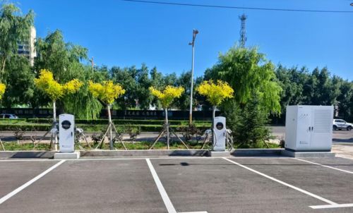 Berita perusahaan terbaru tentang DOOR Energi Berkuasa Perjalanan Hijau di Mongolia Dalam